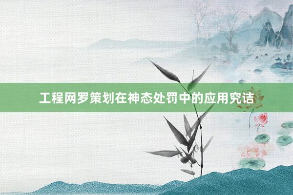 工程网罗策划在神态处罚中的应用究诘